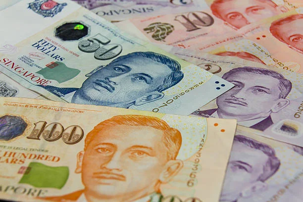 Tiền giấy Singapore với nhiều mệnh giá.