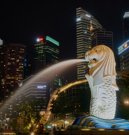Thành Lập<br>Doanh Nghiệp<br>Singapore